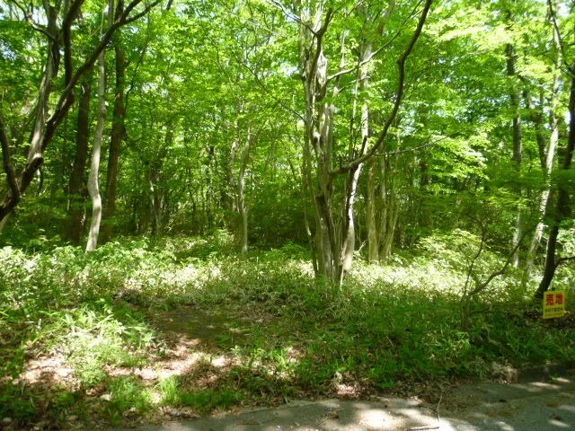 土地のみの別荘地